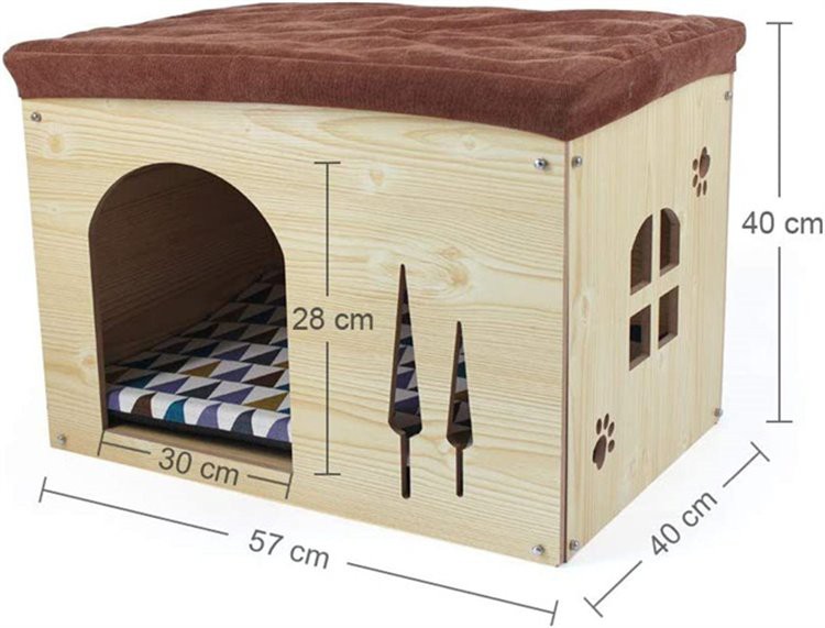 61EuuC-ZpEL._AC_SL1000_